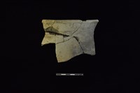 陶罐藏品圖，第1張